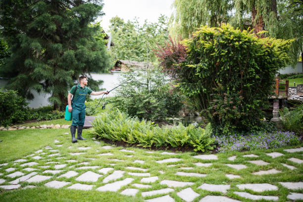 Best Pest Removal Services  in Weston, FL