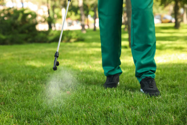 Best Affordable Pest Control Services  in Weston, FL