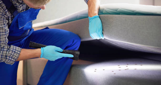 Reliable Weston, FL Pest Control Solutions