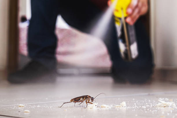 Best Mosquito Control Services  in Weston, FL