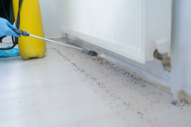 Best Insect Control  in Weston, FL