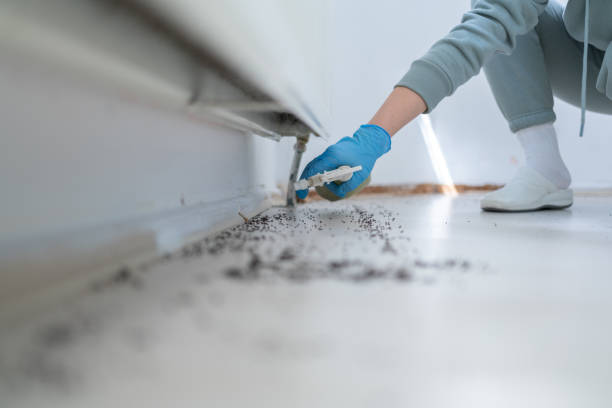 Best Best Pest Control Companies  in Weston, FL