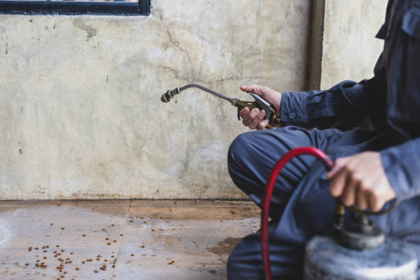 Best Best Pest Control Companies  in Weston, FL